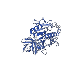 20673_6u7m_b_v1-2
Cryo-EM Structure of Helical Lipoprotein Lipase
