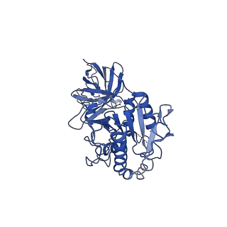 20673_6u7m_c_v1-2
Cryo-EM Structure of Helical Lipoprotein Lipase