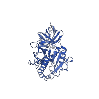 20673_6u7m_d_v1-2
Cryo-EM Structure of Helical Lipoprotein Lipase