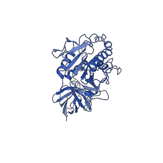 20673_6u7m_e_v1-2
Cryo-EM Structure of Helical Lipoprotein Lipase