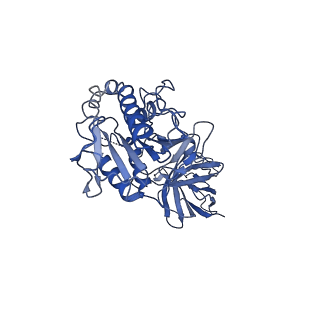 20673_6u7m_f_v1-2
Cryo-EM Structure of Helical Lipoprotein Lipase