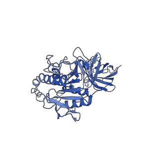 20673_6u7m_g_v1-2
Cryo-EM Structure of Helical Lipoprotein Lipase