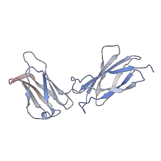 26382_7u7n_A_v1-0
IL-27 quaternary receptor signaling complex