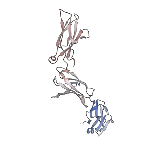 26382_7u7n_B_v1-0
IL-27 quaternary receptor signaling complex