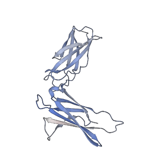 26382_7u7n_C_v1-0
IL-27 quaternary receptor signaling complex