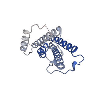 26382_7u7n_D_v1-0
IL-27 quaternary receptor signaling complex