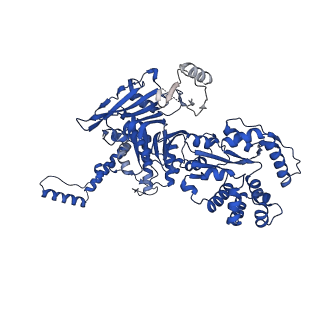 41983_8u7i_A_v1-2
Structure of the phage immune evasion protein Gad1 bound to the Gabija GajAB complex