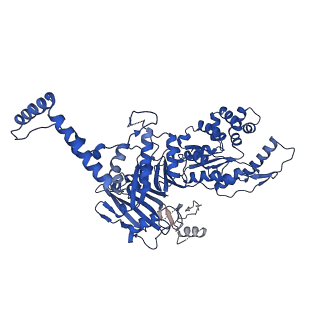 41983_8u7i_C_v1-2
Structure of the phage immune evasion protein Gad1 bound to the Gabija GajAB complex