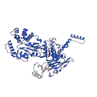 41983_8u7i_D_v1-2
Structure of the phage immune evasion protein Gad1 bound to the Gabija GajAB complex