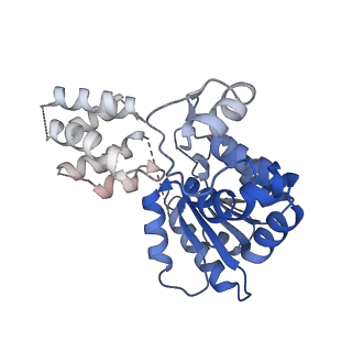 41983_8u7i_E_v1-2
Structure of the phage immune evasion protein Gad1 bound to the Gabija GajAB complex