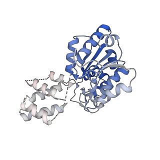 41983_8u7i_G_v1-2
Structure of the phage immune evasion protein Gad1 bound to the Gabija GajAB complex