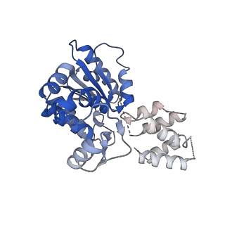 41983_8u7i_H_v1-2
Structure of the phage immune evasion protein Gad1 bound to the Gabija GajAB complex