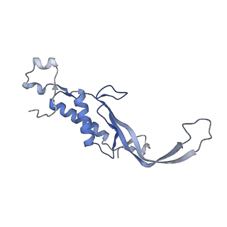 41983_8u7i_J_v1-2
Structure of the phage immune evasion protein Gad1 bound to the Gabija GajAB complex