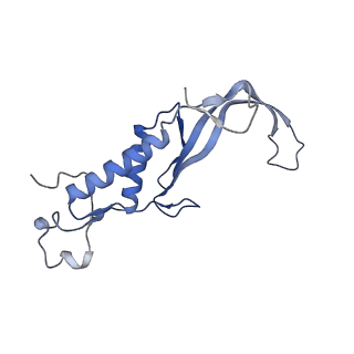 41983_8u7i_K_v1-2
Structure of the phage immune evasion protein Gad1 bound to the Gabija GajAB complex