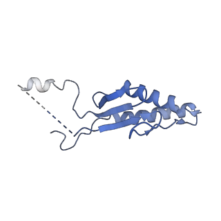 41983_8u7i_N_v1-2
Structure of the phage immune evasion protein Gad1 bound to the Gabija GajAB complex