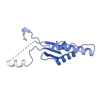 41983_8u7i_O_v1-2
Structure of the phage immune evasion protein Gad1 bound to the Gabija GajAB complex