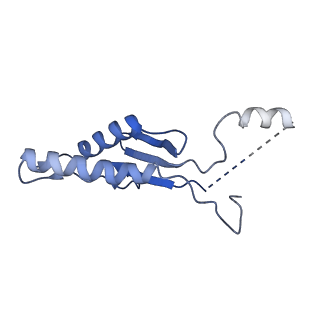 41983_8u7i_P_v1-2
Structure of the phage immune evasion protein Gad1 bound to the Gabija GajAB complex