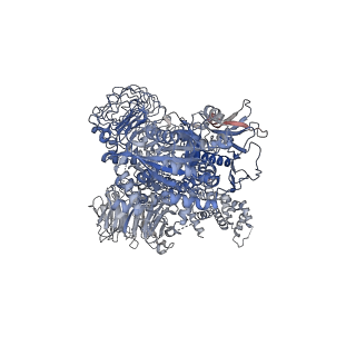 41985_8u7l_B_v1-0
Cryo-EM structure of LRRK2 bound to type II inhibitor GZD824