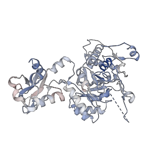 41986_8u7m_A_v1-0
Human retinal variant phosphomimetic IMPDH1(595)-S477D free octamer bound by GTP, ATP, IMP, and NAD+