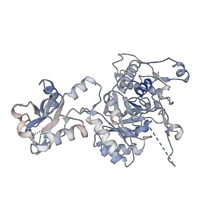 41986_8u7m_A_v1-1
Human retinal variant phosphomimetic IMPDH1(595)-S477D free octamer bound by GTP, ATP, IMP, and NAD+