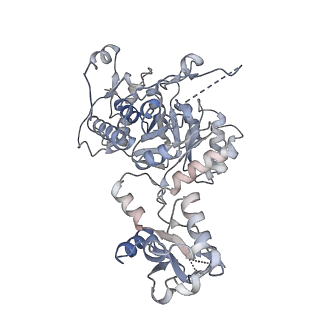 41986_8u7m_B_v1-0
Human retinal variant phosphomimetic IMPDH1(595)-S477D free octamer bound by GTP, ATP, IMP, and NAD+