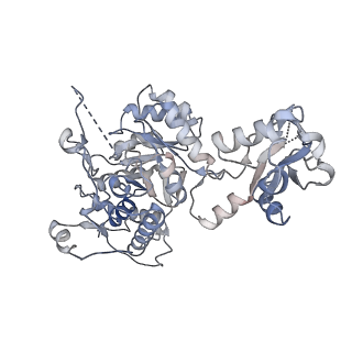 41986_8u7m_C_v1-1
Human retinal variant phosphomimetic IMPDH1(595)-S477D free octamer bound by GTP, ATP, IMP, and NAD+