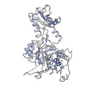 41986_8u7m_D_v1-0
Human retinal variant phosphomimetic IMPDH1(595)-S477D free octamer bound by GTP, ATP, IMP, and NAD+