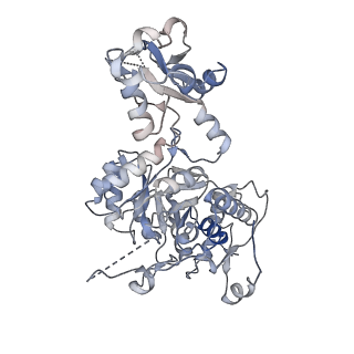 41986_8u7m_D_v1-1
Human retinal variant phosphomimetic IMPDH1(595)-S477D free octamer bound by GTP, ATP, IMP, and NAD+