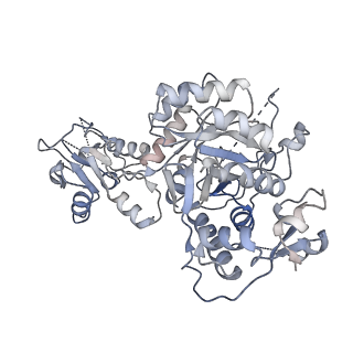 41986_8u7m_E_v1-1
Human retinal variant phosphomimetic IMPDH1(595)-S477D free octamer bound by GTP, ATP, IMP, and NAD+