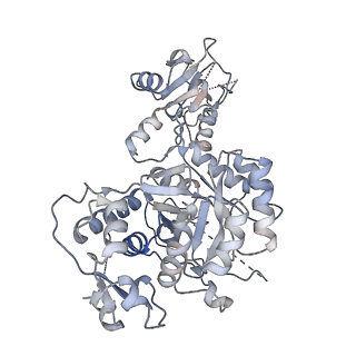 41986_8u7m_F_v1-0
Human retinal variant phosphomimetic IMPDH1(595)-S477D free octamer bound by GTP, ATP, IMP, and NAD+
