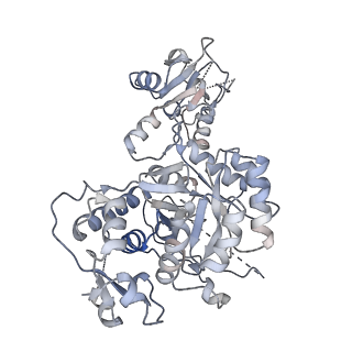 41986_8u7m_F_v1-1
Human retinal variant phosphomimetic IMPDH1(595)-S477D free octamer bound by GTP, ATP, IMP, and NAD+