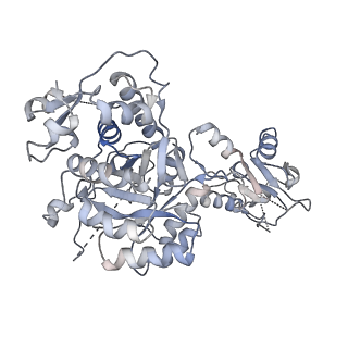 41986_8u7m_G_v1-0
Human retinal variant phosphomimetic IMPDH1(595)-S477D free octamer bound by GTP, ATP, IMP, and NAD+