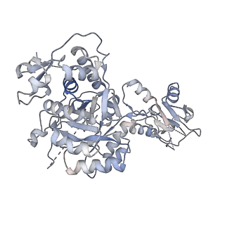 41986_8u7m_G_v1-1
Human retinal variant phosphomimetic IMPDH1(595)-S477D free octamer bound by GTP, ATP, IMP, and NAD+