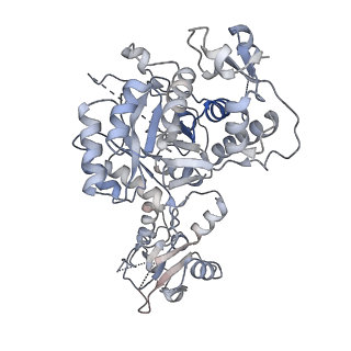 41986_8u7m_H_v1-0
Human retinal variant phosphomimetic IMPDH1(595)-S477D free octamer bound by GTP, ATP, IMP, and NAD+