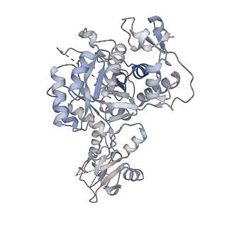 41986_8u7m_H_v1-1
Human retinal variant phosphomimetic IMPDH1(595)-S477D free octamer bound by GTP, ATP, IMP, and NAD+