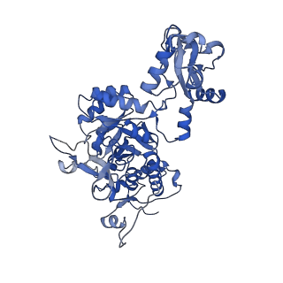 41989_8u7q_A_v1-0
Human retinal variant phosphomimetic IMPDH1(546)-S477D filament bound by GTP, ATP, IMP, and NAD+, octamer-centered