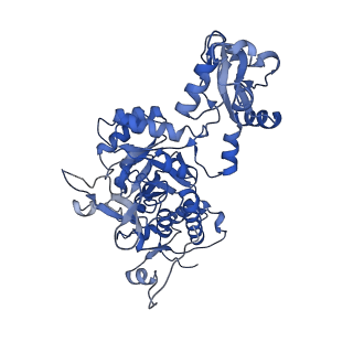 41989_8u7q_A_v1-1
Human retinal variant phosphomimetic IMPDH1(546)-S477D filament bound by GTP, ATP, IMP, and NAD+, octamer-centered