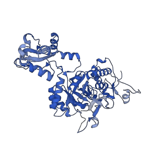 41989_8u7q_B_v1-0
Human retinal variant phosphomimetic IMPDH1(546)-S477D filament bound by GTP, ATP, IMP, and NAD+, octamer-centered