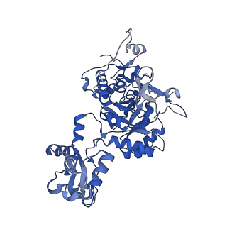 41989_8u7q_C_v1-0
Human retinal variant phosphomimetic IMPDH1(546)-S477D filament bound by GTP, ATP, IMP, and NAD+, octamer-centered