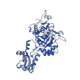 41989_8u7q_C_v1-1
Human retinal variant phosphomimetic IMPDH1(546)-S477D filament bound by GTP, ATP, IMP, and NAD+, octamer-centered