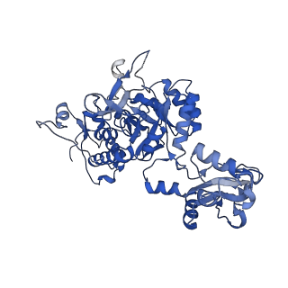 41989_8u7q_D_v1-0
Human retinal variant phosphomimetic IMPDH1(546)-S477D filament bound by GTP, ATP, IMP, and NAD+, octamer-centered
