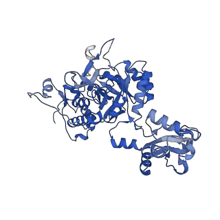 41989_8u7q_D_v1-1
Human retinal variant phosphomimetic IMPDH1(546)-S477D filament bound by GTP, ATP, IMP, and NAD+, octamer-centered