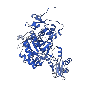 41989_8u7q_E_v1-0
Human retinal variant phosphomimetic IMPDH1(546)-S477D filament bound by GTP, ATP, IMP, and NAD+, octamer-centered