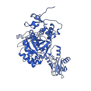 41989_8u7q_E_v1-1
Human retinal variant phosphomimetic IMPDH1(546)-S477D filament bound by GTP, ATP, IMP, and NAD+, octamer-centered