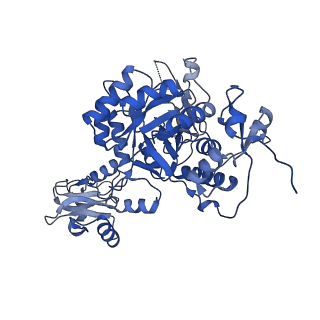 41989_8u7q_F_v1-0
Human retinal variant phosphomimetic IMPDH1(546)-S477D filament bound by GTP, ATP, IMP, and NAD+, octamer-centered