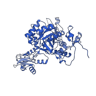 41989_8u7q_F_v1-1
Human retinal variant phosphomimetic IMPDH1(546)-S477D filament bound by GTP, ATP, IMP, and NAD+, octamer-centered