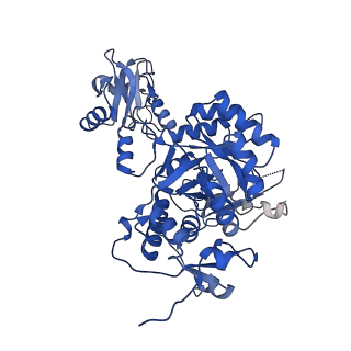 41989_8u7q_G_v1-0
Human retinal variant phosphomimetic IMPDH1(546)-S477D filament bound by GTP, ATP, IMP, and NAD+, octamer-centered