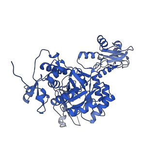 41989_8u7q_H_v1-0
Human retinal variant phosphomimetic IMPDH1(546)-S477D filament bound by GTP, ATP, IMP, and NAD+, octamer-centered