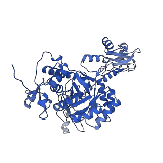 41989_8u7q_H_v1-1
Human retinal variant phosphomimetic IMPDH1(546)-S477D filament bound by GTP, ATP, IMP, and NAD+, octamer-centered
