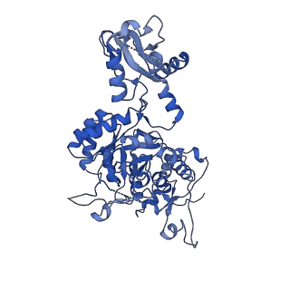 42012_8u7v_A_v1-1
Human retinal variant phosphomimetic IMPDH1(546)-S477D filament bound by GTP, ATP, IMP, and NAD+, interface-centered